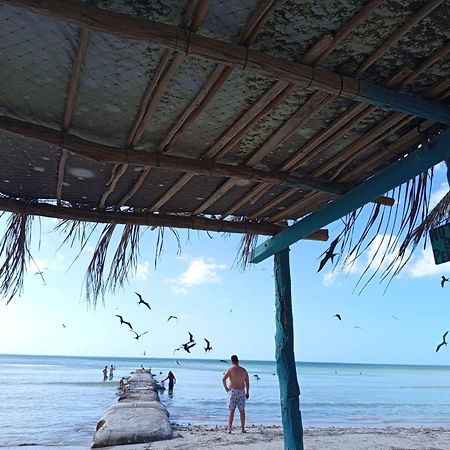 Mi Habitat Holbox-Maravilla Natural Екстер'єр фото