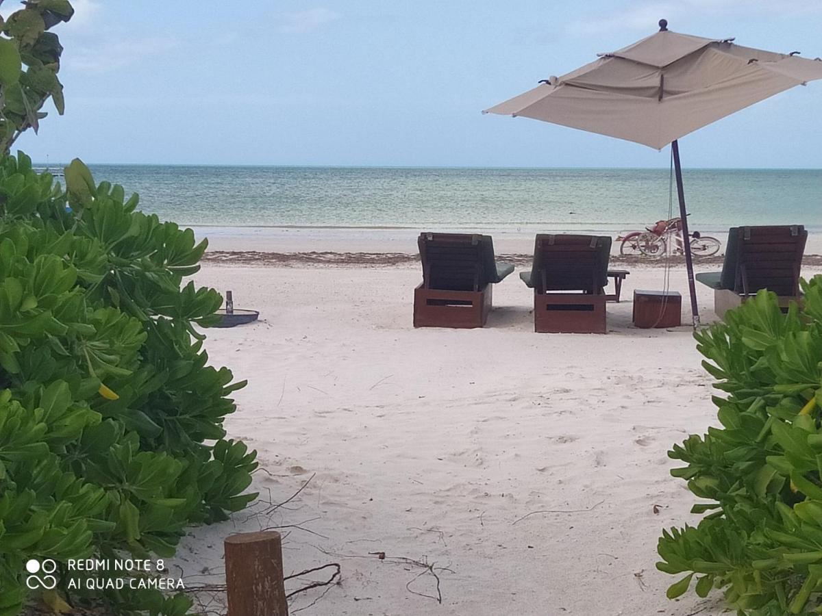 Mi Habitat Holbox-Maravilla Natural Екстер'єр фото