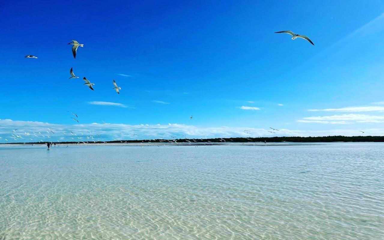 Mi Habitat Holbox-Maravilla Natural Екстер'єр фото