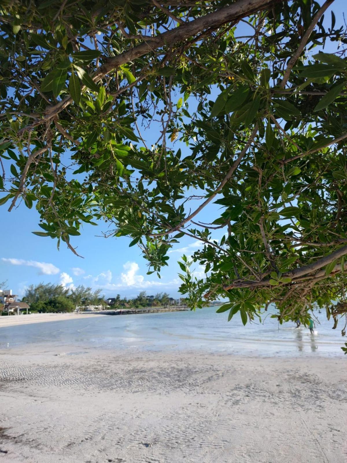 Mi Habitat Holbox-Maravilla Natural Екстер'єр фото
