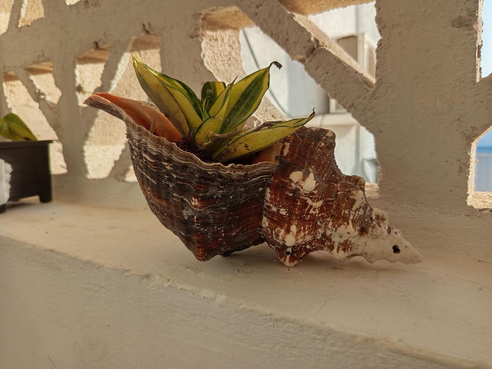 Mi Habitat Holbox-Maravilla Natural Екстер'єр фото