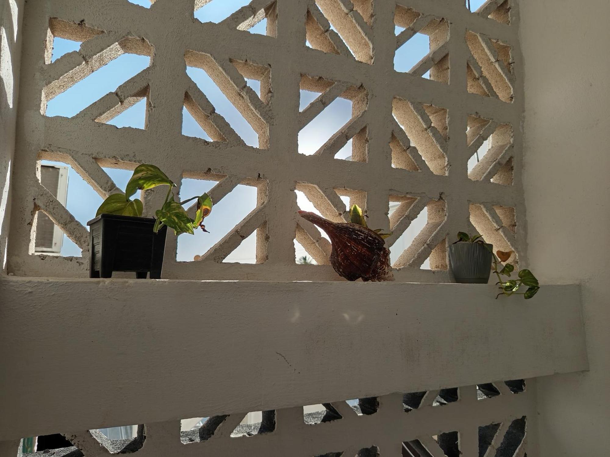 Mi Habitat Holbox-Maravilla Natural Екстер'єр фото