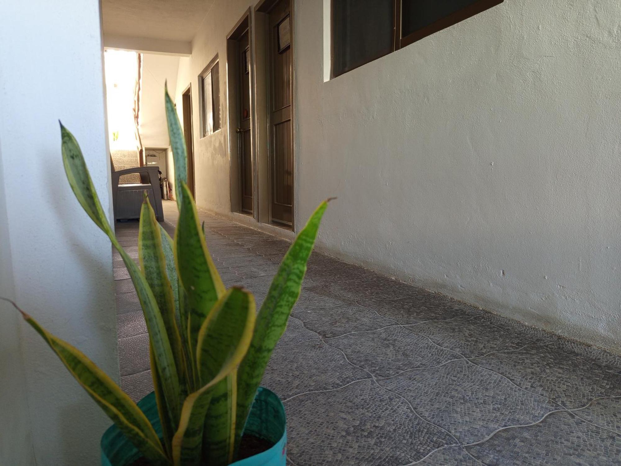 Mi Habitat Holbox-Maravilla Natural Екстер'єр фото